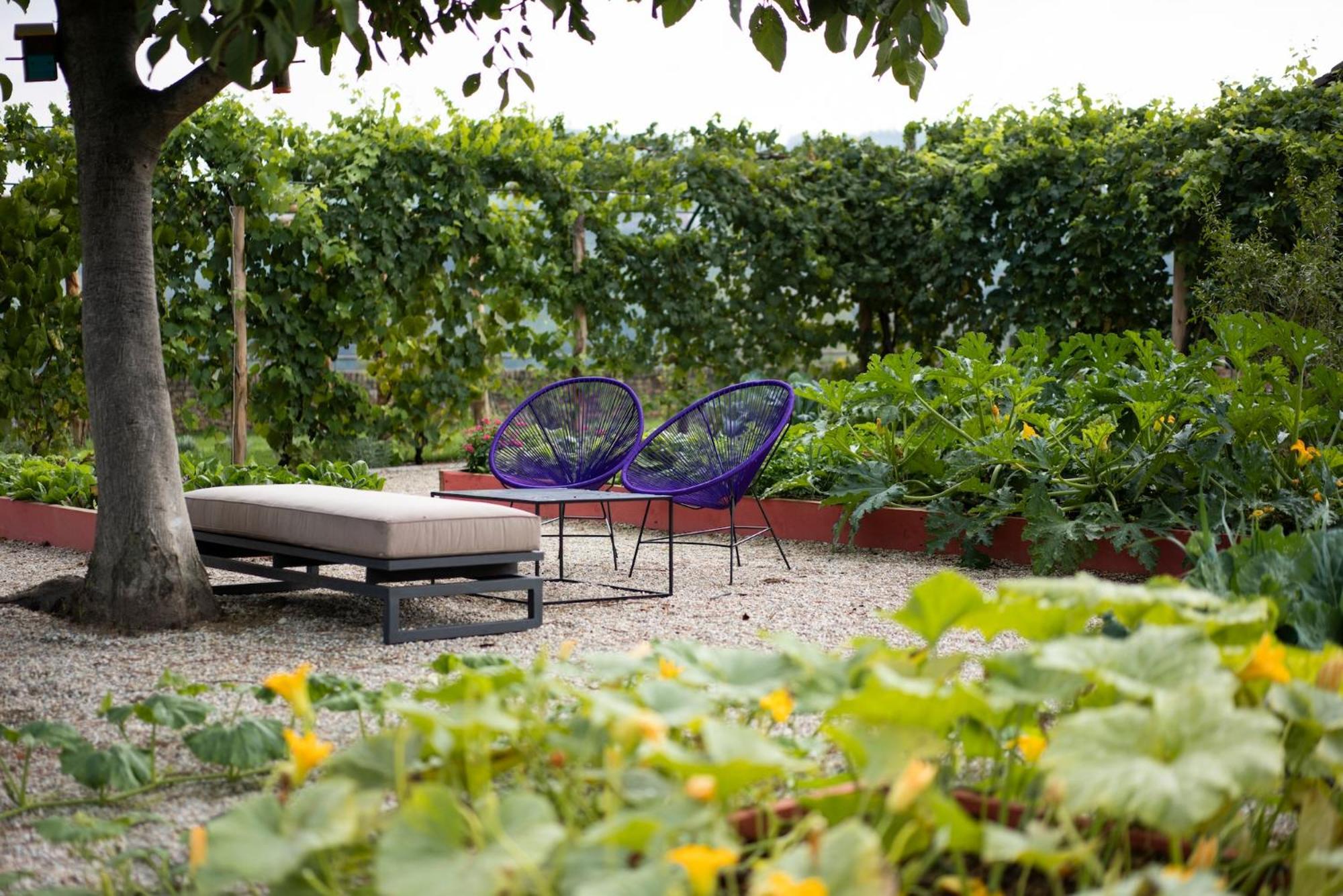 Vigne Di Fagnano 1709 Eco Relais Guest House Santo Stefano Belbo Luaran gambar